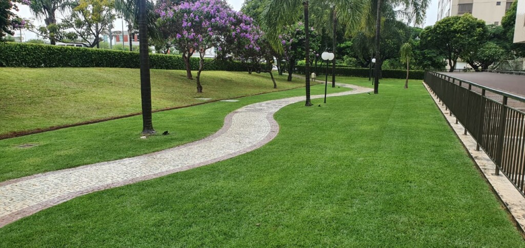 paisagismo no DF