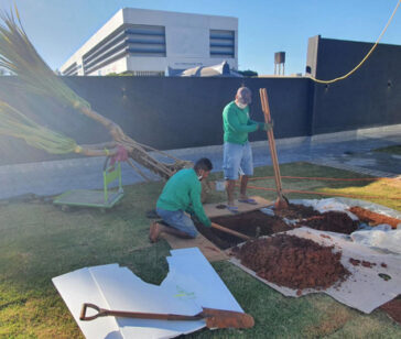 Implantação e Reforma de Jardins