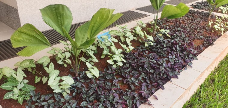 Implantação e Reforma de Jardins