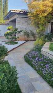 jardinagem em brasilia df