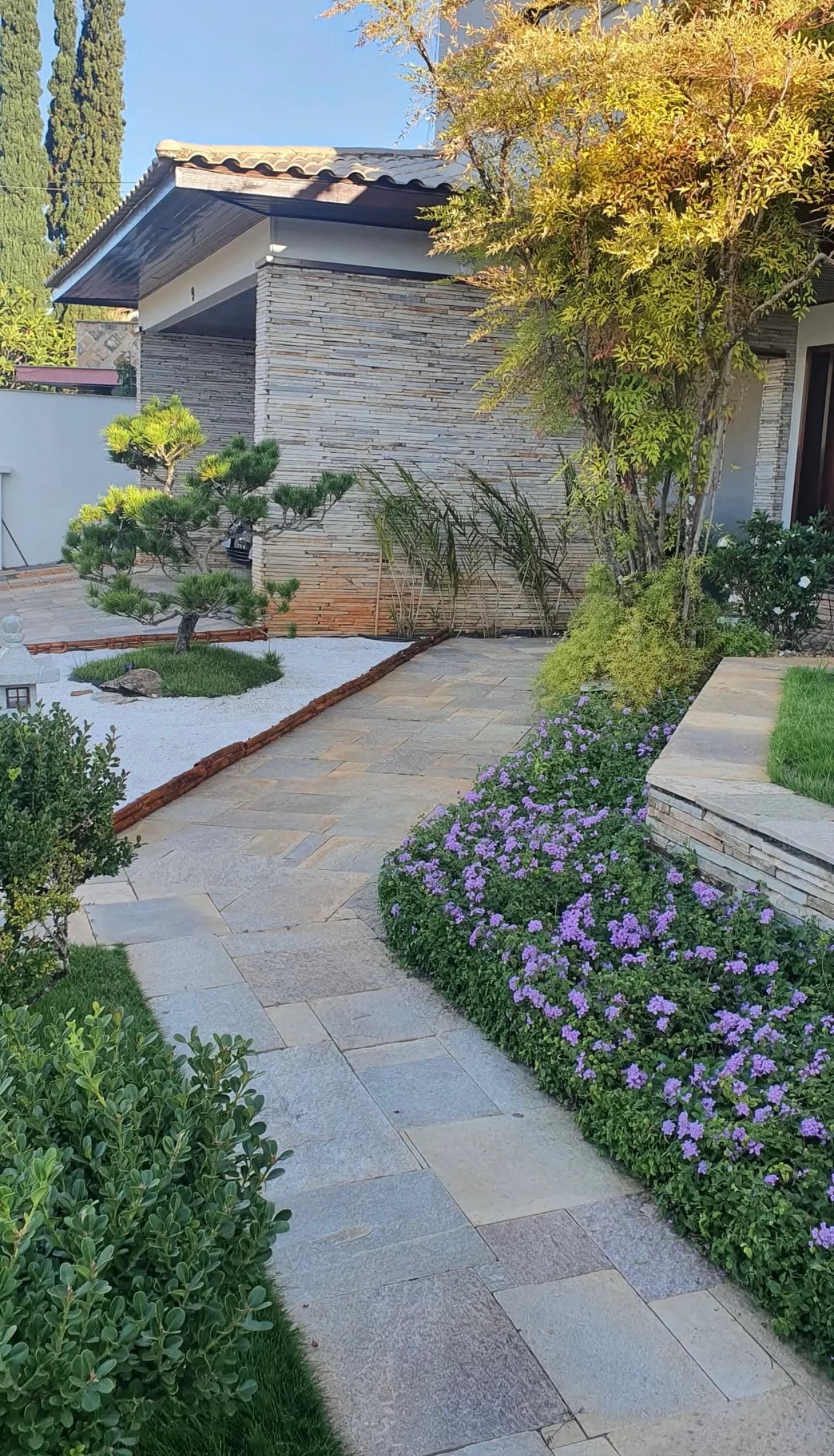 jardinagem em brasilia df